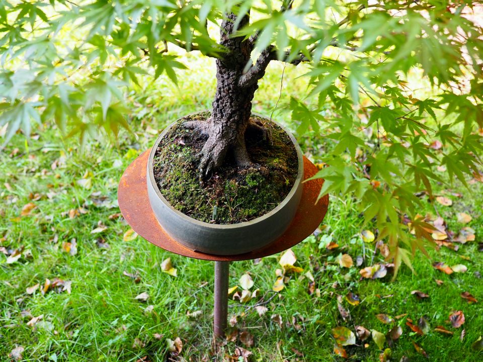 Bonsaiständer Metall Bonsai Ständer Pflanzenständer drehbar in Osterholz-Scharmbeck