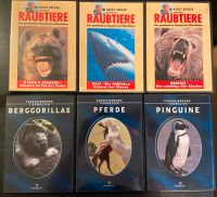 6 DVDs Tiere - Grizzly, Hai, Hyäne, Leopard, Pferd, Pinguin etc. Berlin - Mitte Vorschau