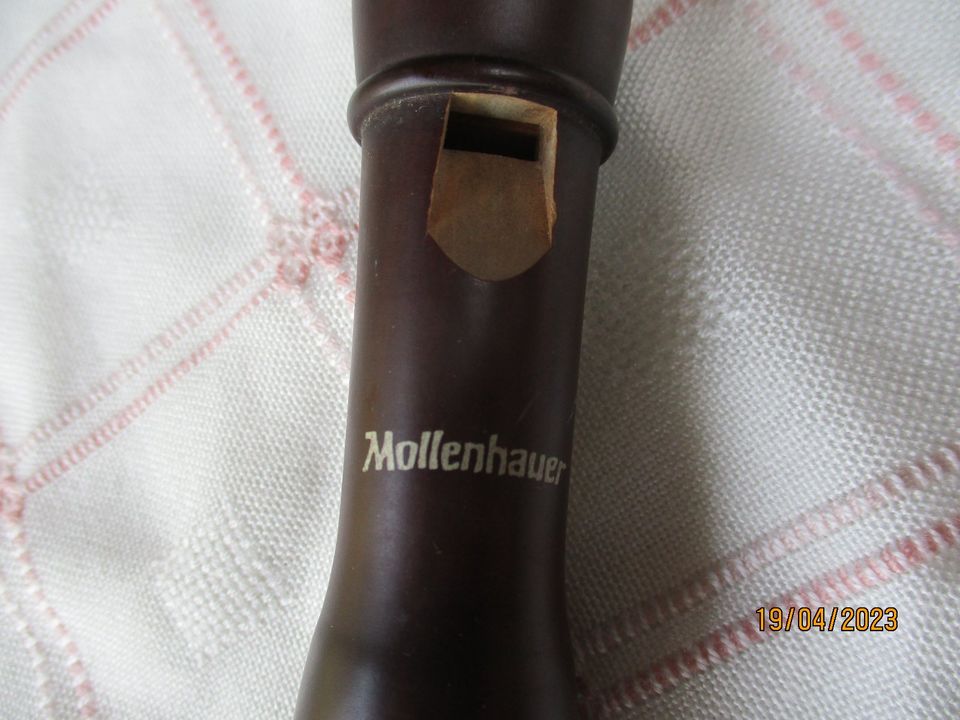 Mollenhauer Flöte Student Soprano 1004 d in Rabenau