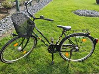 Pegasus Damenfahrrad 28er Nordrhein-Westfalen - Lippstadt Vorschau