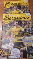 BVB "Borussini" Dortmund - Mitte Vorschau