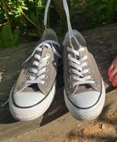 Converse Gr. 38 Rheinland-Pfalz - Stadtkyll Vorschau
