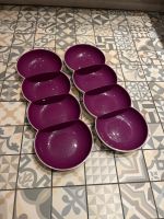 1x Tupperware Allegra Perle, lila/weiß Baden-Württemberg - Altbach Vorschau