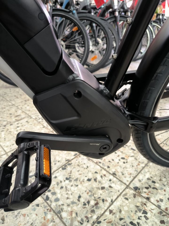 FANTIC / E-Bikes/ Neu im Sortiment / Verschiedene Modelle in Cuxhaven