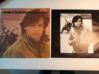 John Cougar Mellenkamp American Fool Schallplatte LP Vinyl Niedersachsen - Sehnde Vorschau