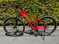 MTB Cube LTD 29 Zoll Rot Hardtail Nordrhein-Westfalen - Bad Wünnenberg Vorschau