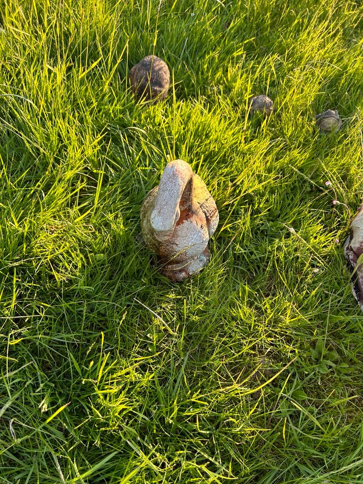 Diverse Gartenfiguren Zustand mittelmäßig in Auetal