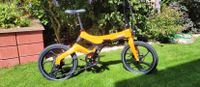 Elektrofahrrad Ebike Fahrrad 20 Zoll Neupreis 900€ Baden-Württemberg - Rastatt Vorschau