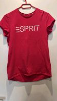 Rotes Esprit T-Shirt Niedersachsen - Kührstedt Vorschau