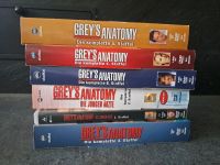 Grey's  Anatomie Staffel 1 bis 5 Nordrhein-Westfalen - Hagen Vorschau