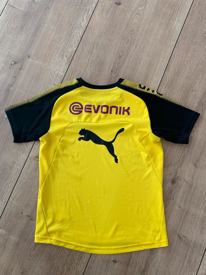 BVB Trikot 152 in Wesendorf