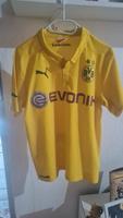 BVB Trikot Große S 176 Nordrhein-Westfalen - Witten Vorschau