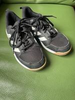 Adidas Hallenschuhe 39,5 München - Au-Haidhausen Vorschau
