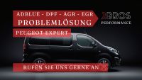 Peugeot Expert DPF AdBlue AGR EGR Störung Problemlösung Nordrhein-Westfalen - Hagen Vorschau