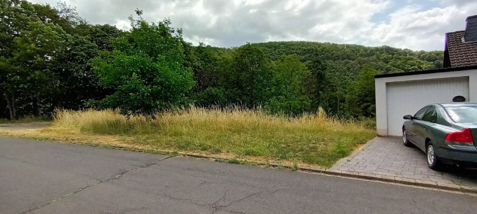 Sie suchen ein Haus mit Grundstück ganz in der Nähe von Luxemburg? Hier ist es! in Neuerburg Eifel