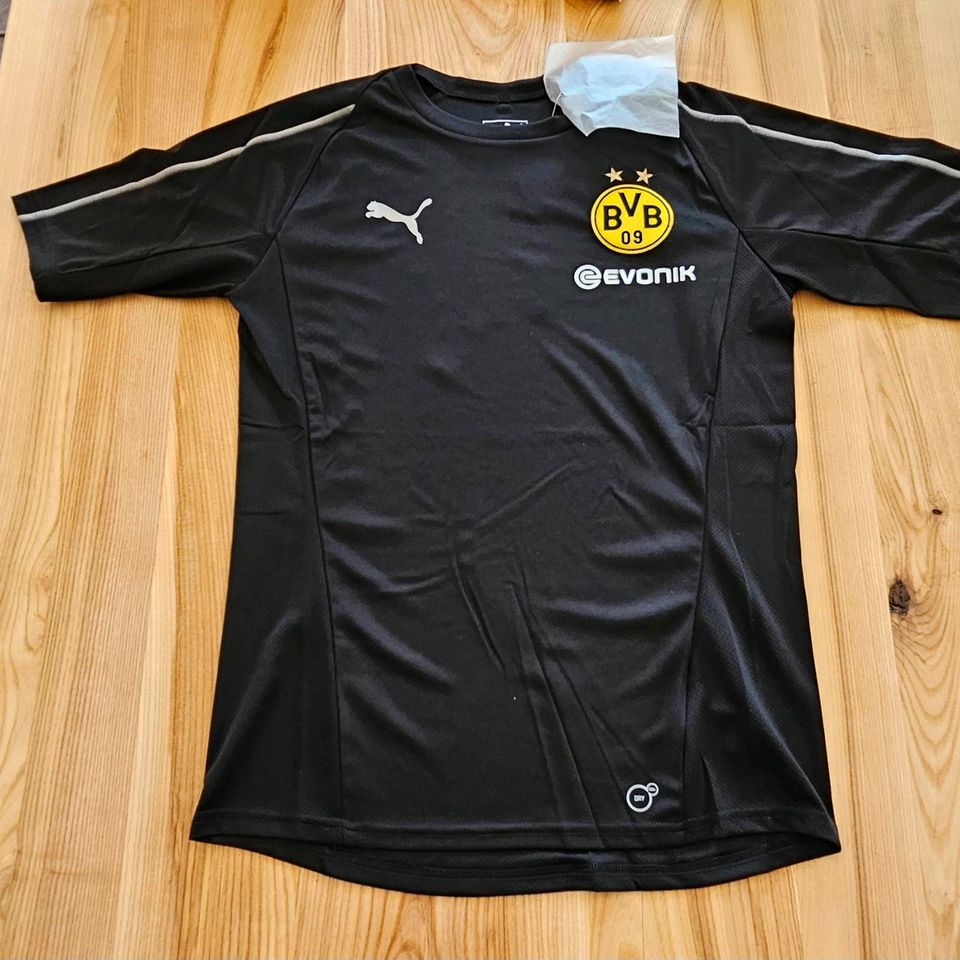 Original BVB PUMA Herren  Shirt m. Sponsor Logo Training Jersey in Südlohn