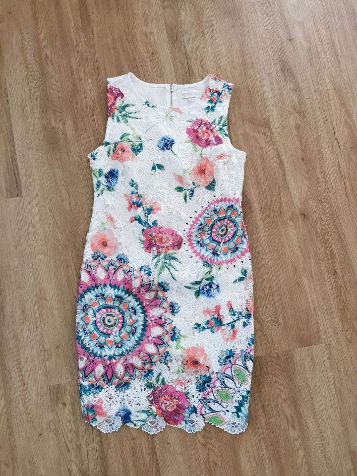 Kleid Apricot L in Isny im Allgäu