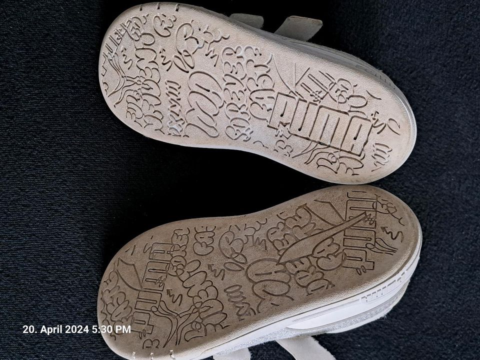 Puma Sneaker / Schuhe / Kinderschuhe Gr. 26 Schuhe in Hückelhoven