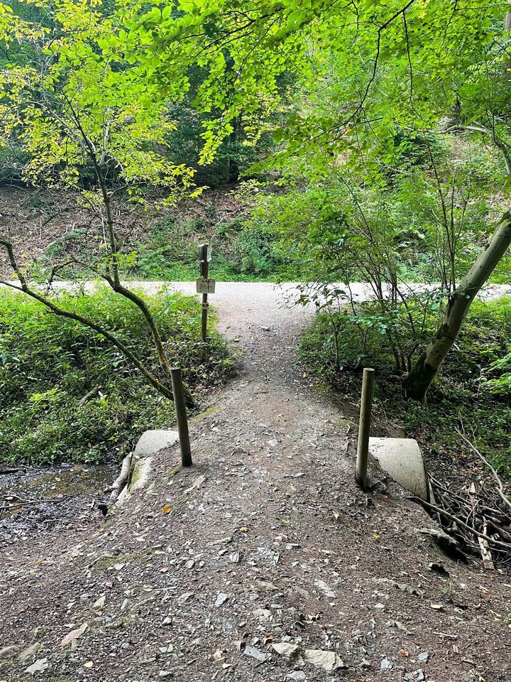 HARZschnitzeljagd *Einhorntour (Kindertour)* Scharzfeld in Herzberg am Harz