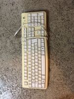 Keyboard Tastatur München - Pasing-Obermenzing Vorschau