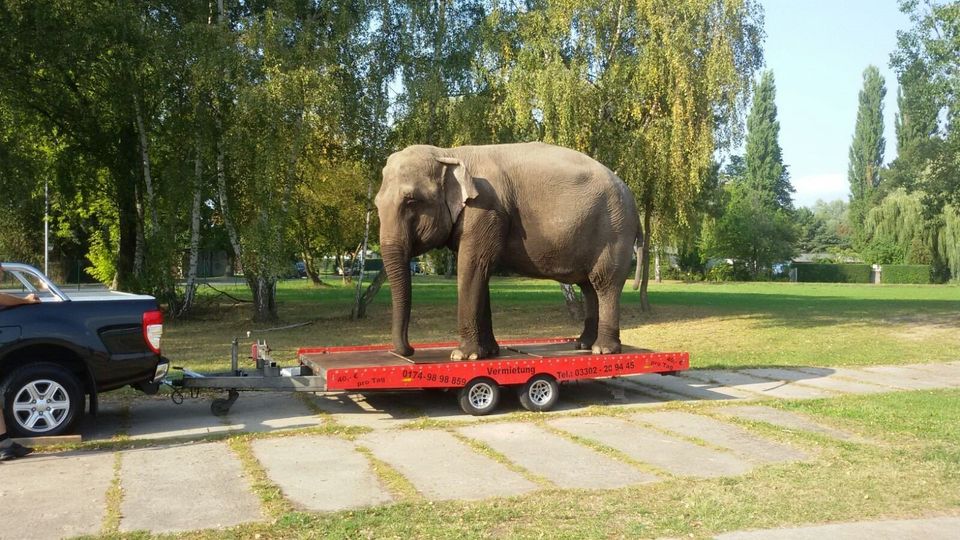 Motorradanhänger gebremst Motorradtrailer mieten Verleih Anhänger in Hennigsdorf