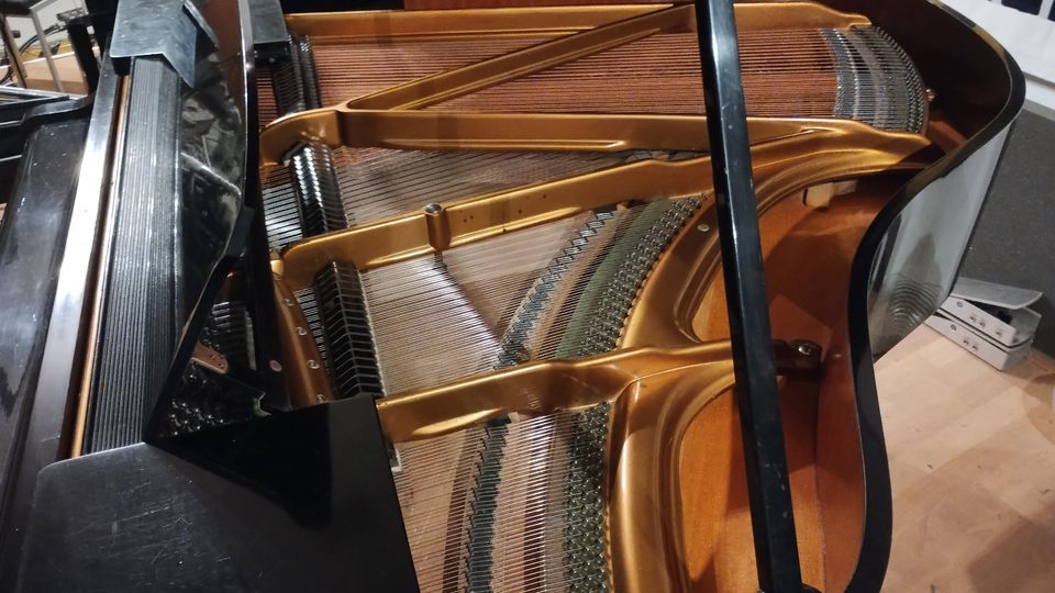 Bösendorfer Flügel 155 Bauj. 1941 Rarität Studioinstrument in Hamburg