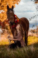 Pferde Fotoshooting Horse Nordrhein-Westfalen - Merzenich Vorschau