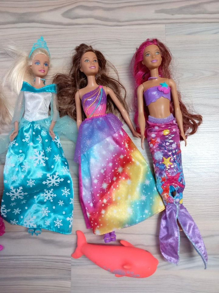 Barbie Dreamtopia, Elsa, Princess, Zubehör ... ab 5 Euro in Eisenach