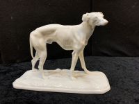 Nymphenburg Figur Windhund Antik Bonn - Tannenbusch Vorschau