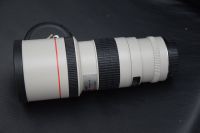 Canon EF 300mm 1:4 L USM * Traumzustand * Bayern - Bibertal Vorschau