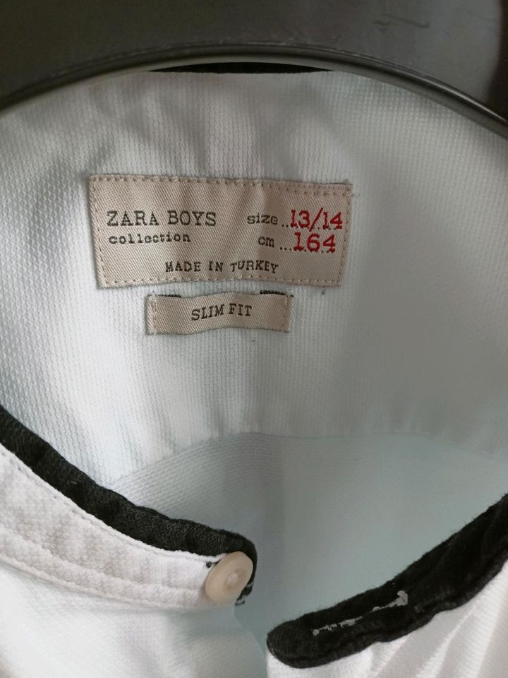 Kinderhemd babyblau von Zara in Cottbus