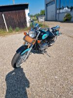 Honda Shadow 1100 ACE Baden-Württemberg - Achern Vorschau