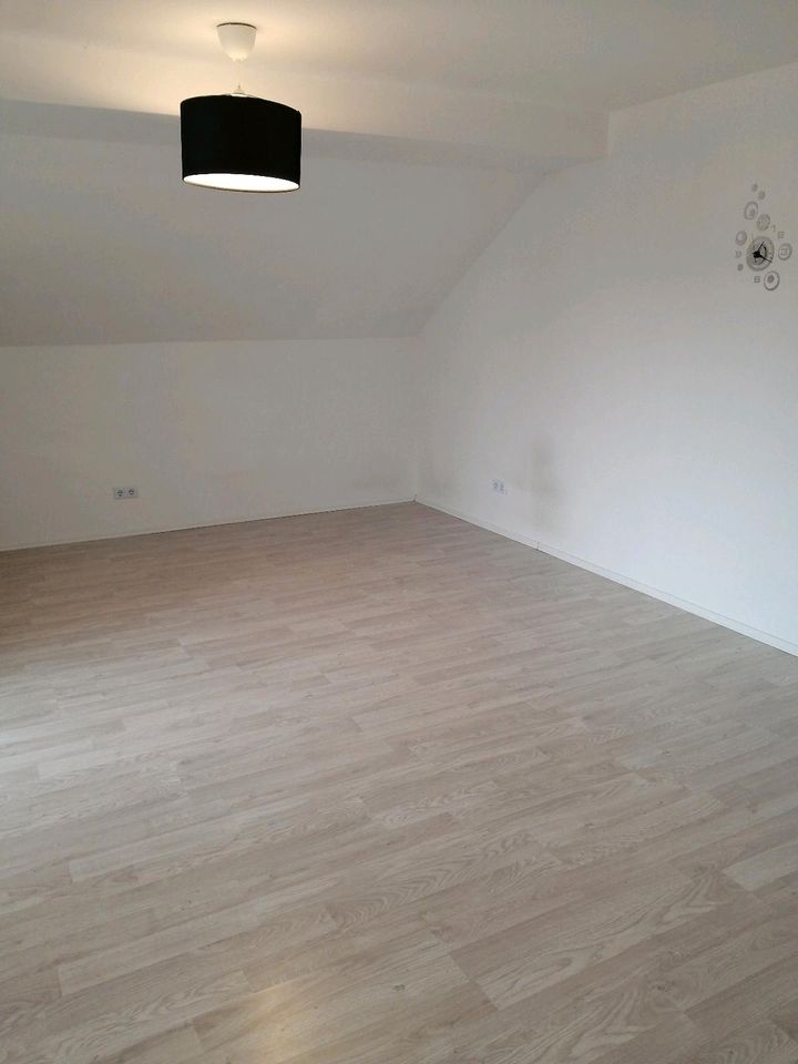 1 Zimmer Wohnung ca 45 qm mit Balkon in Sinzheim