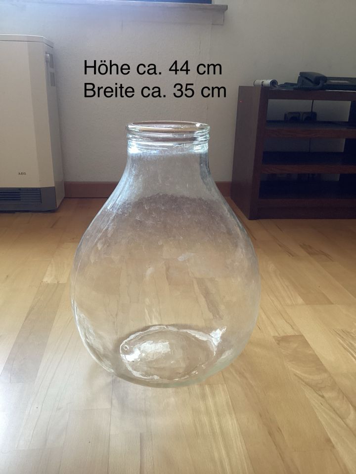 Flaschengarten Pflanzglas Terrarium Groß 44cm Höhe in Lauterbach (Hessen)