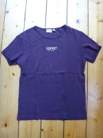 T-Shirt Esprit Größe XL, dunkles Weinrot, getragen, guter Zustand Niedersachsen - Bad Pyrmont Vorschau