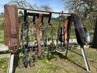 Trense Western gebisslos snaffle bit sidepull WB VB Einohr Rheinland-Pfalz - Melsbach Vorschau