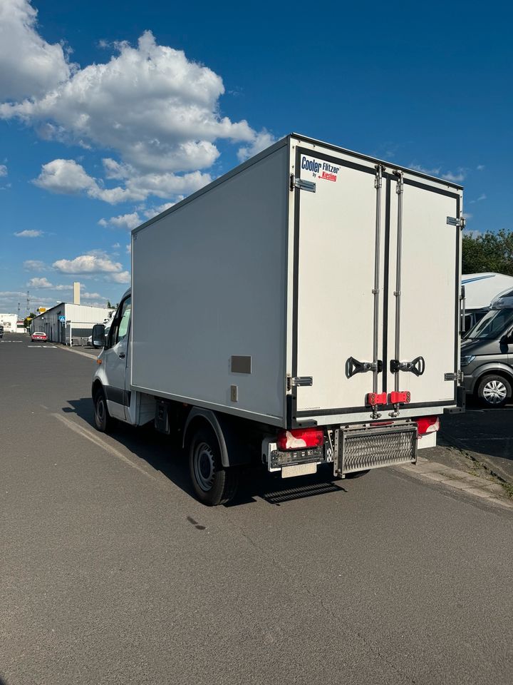 Mercedes Benz Kühlsprinter - Sprinter Kühlkoffer 2019 Baujahr in Hanau