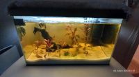 60 Liter Aquarium von Juwel Hannover - Ahlem-Badenstedt-Davenstedt Vorschau