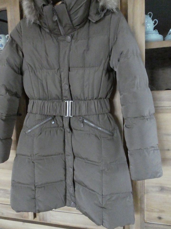 Steppjacke Winterjacke Lang mit Gürtel Beige sand Warm L Jacke in Aurich