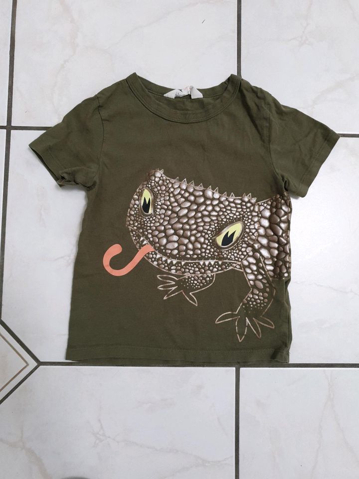 Tolles T-Shirt H&M, Gr. 98/104 khaki mit Echse in Krefeld