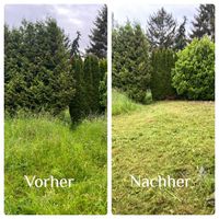 Gartenpflege Schwarze Bayern - Stockstadt a. Main Vorschau