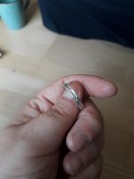 Verkaufe ein Ring Niedersachsen - Zeven Vorschau