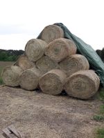 Rundballen Heu 120 cm Brandenburg - Grunow-Dammendorf Vorschau