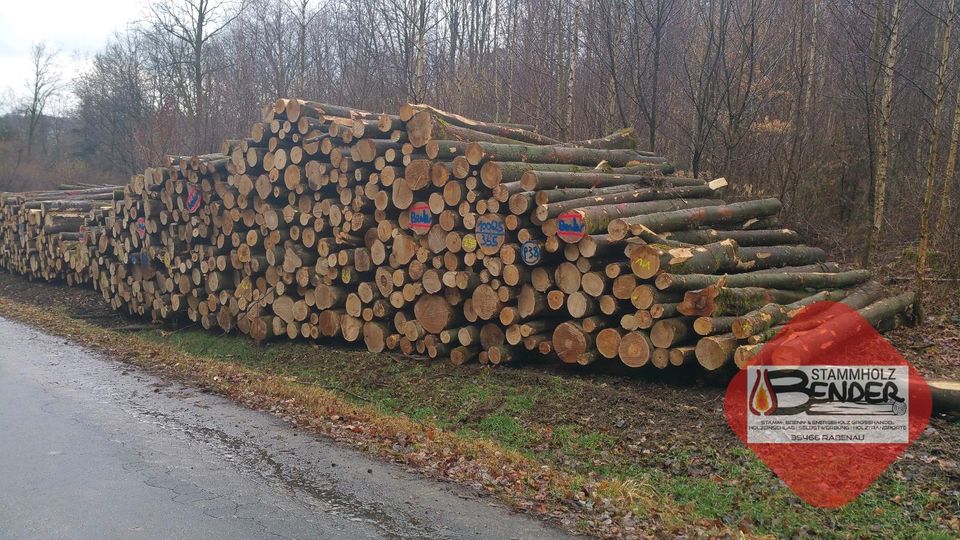 Buche Stammholz Rundholz Brennholz inkl. Lieferung in Herborn