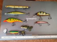 Hardbaits Suick, Dam , Balzer shirasu Thüringen - Schlotheim Vorschau