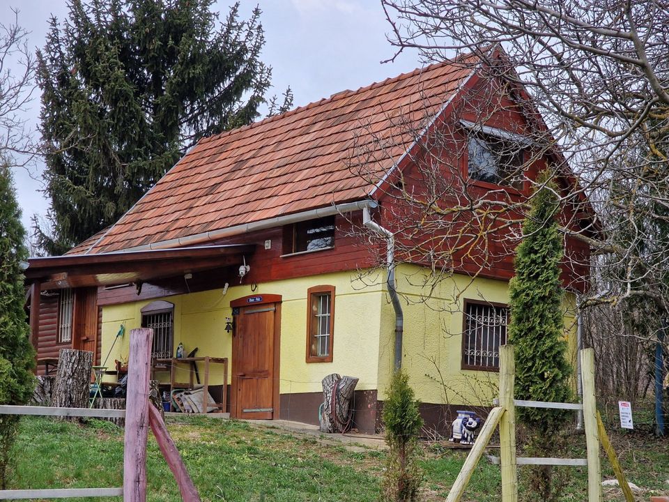 Weinberghaus mit großem Grundstück in völliger Alleinlage in Dresden