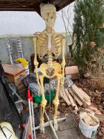Anatomie Skelett Model lebensgroß Hessen - Heusenstamm Vorschau