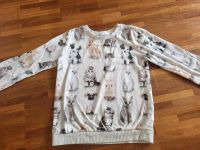 Kinder-Sweatshirt "H&M" Tiermotive Nordrhein-Westfalen - Senden Vorschau