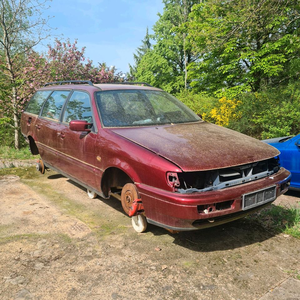 Vw Passat vr6 35i Motorhaube Stoßstange in Völklingen