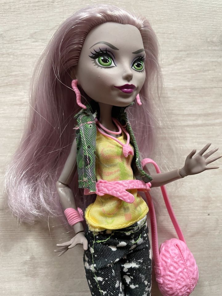 Monster high Puppen Moanica d’kay in Bad Muskau